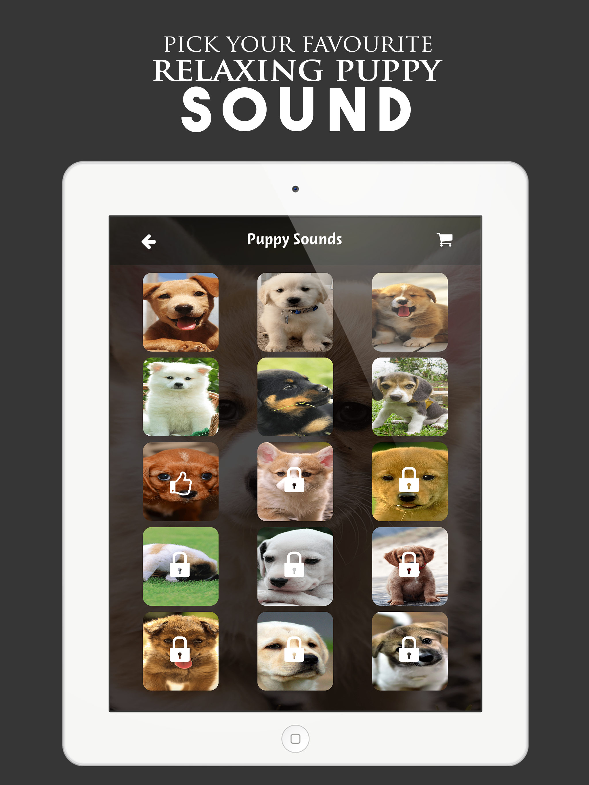 Puppy Sounds:Calming Music For Relaxation & Sleep screenshot 7