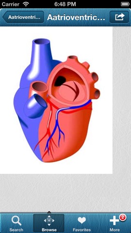 心臓と冠動脈疾患のおすすめ画像4