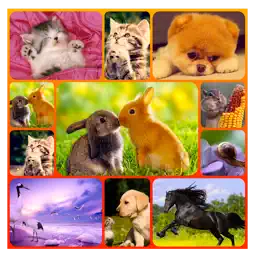 Poster Maker Lite - Collage app icon