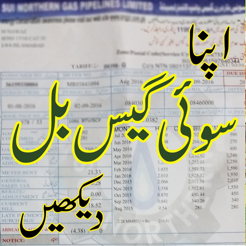 Check Sui Gas Bill On The App Store