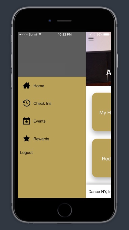 iDance Group Loyalty Program