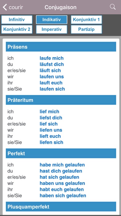 Dictionnaire Français/Allemand Screenshot