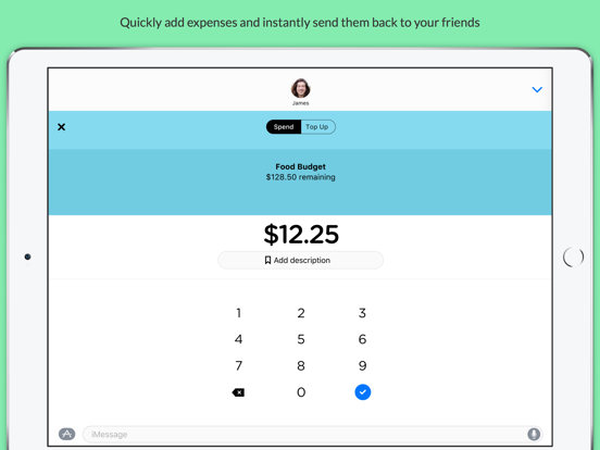 Screenshot #4 for Pennies Mini - Share budgets with your friends