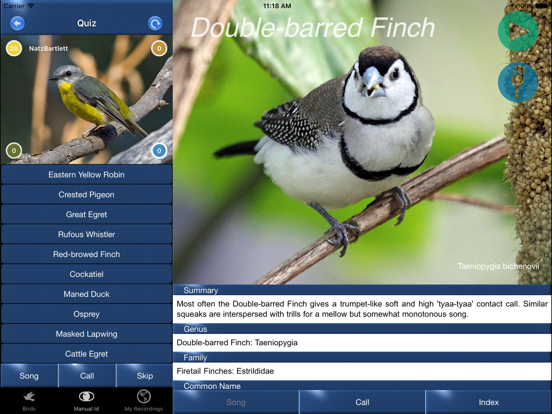 Bird Song Id Australia - Automatic Recognition iPad app afbeelding 4