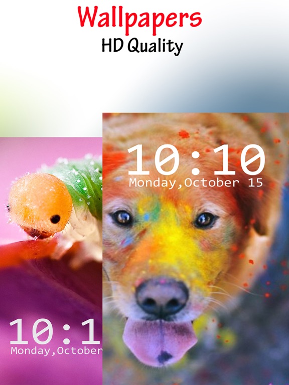 Animal Wallpapers – Free Pics and Background.s iPad screenshot 5 - Lifestyle app