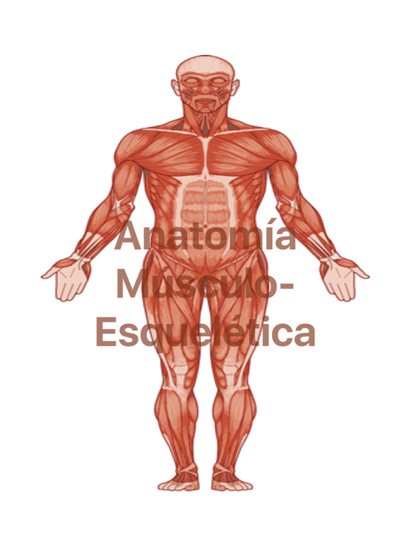 Screenshot #4 pour Atlas Músculo-esquelético