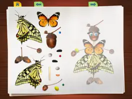 Game screenshot Montessori Preschool Scrapbook Puzzle 123 Kids Fun mod apk