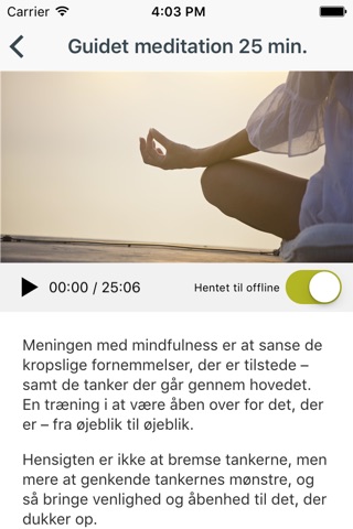 Mindfulness – bevidst nærvær screenshot 4