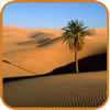 Largest Deserts - Maple Tree