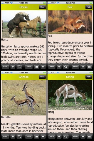 Animal Reproduction and Sexuality screenshot 2