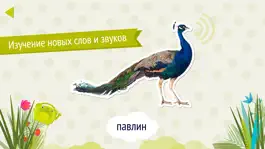 Game screenshot Domi Domi Listen And Guess - слушай и угадывай mod apk