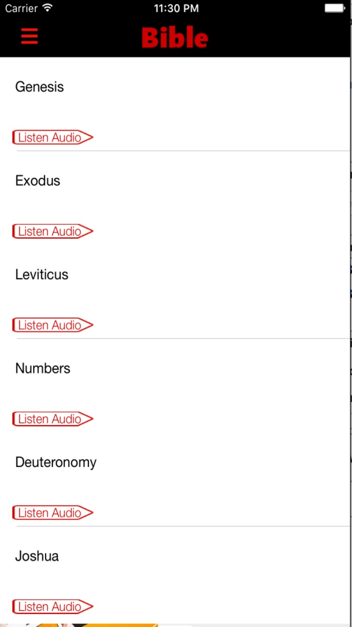 iPhone screenshot