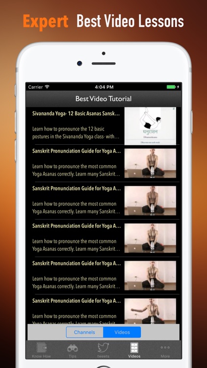 Sanskrit Yoga for Beginners:Tips and Tutorials