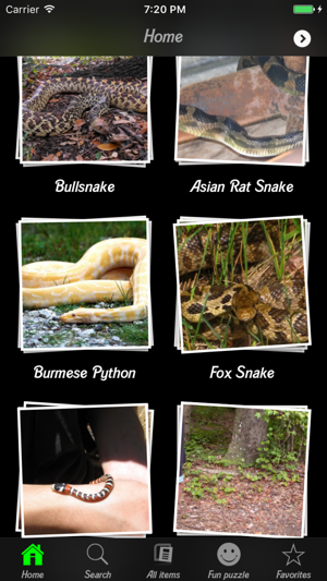 Snakes Wiki(圖3)-速報App
