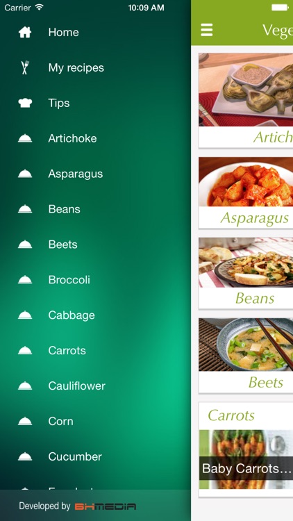 Vegetable Food Recipes - best cooking tips, ideas