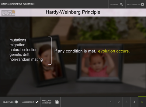 Hardy-Weinberg Equation - náhled