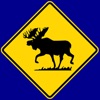 Ontario G1 Driving Theory Test Free app icon - Education app for iPhone