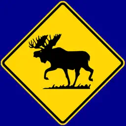 Ontario G1 Driving Theory Test Free app icon