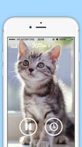 Funny Cat Sounds - Cat Music, Meow Sounds, Kitten Sounds, Angry Cat sounds screenshot