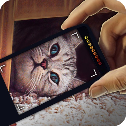 Radar Cat Camera Prank iOS App