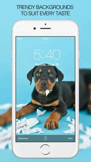 Puppy Wallpapers - Cute Puppy Pictures & Images screenshot 4
