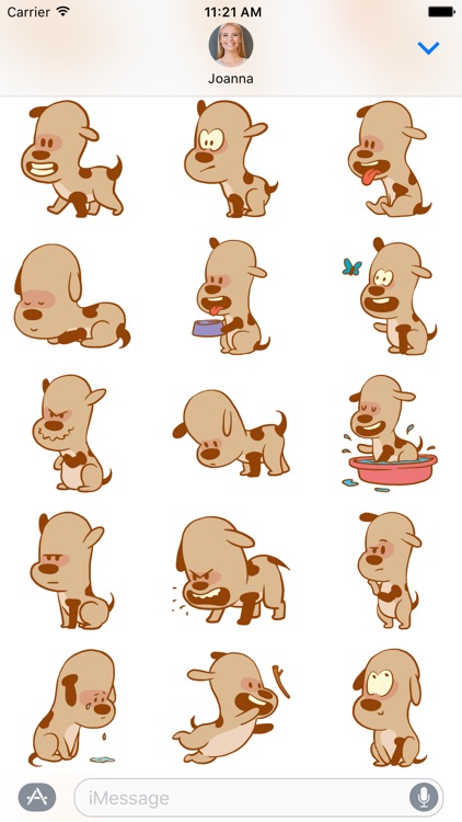 Adorable Dog