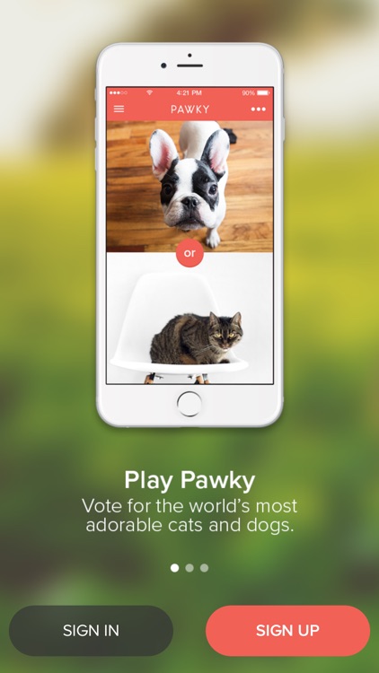 Pawky - For paw people!