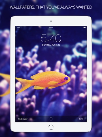 Fish Pictures – Fish Wallpapers & Backgroundsのおすすめ画像1