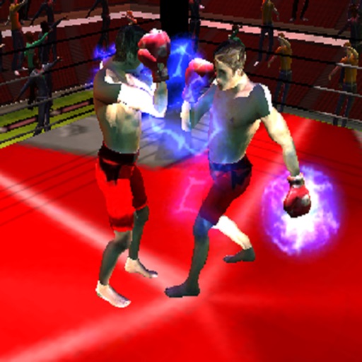Boxing War 3D Icon