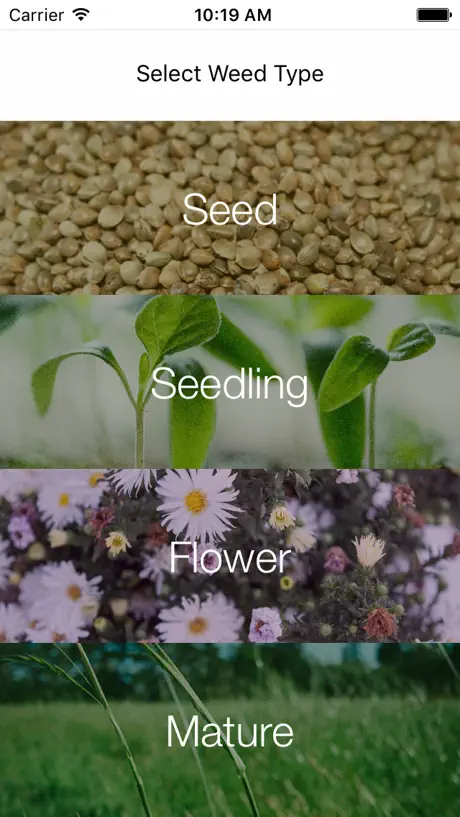 Weed Identifier
