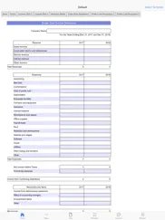 financial statements айпад изображения 3