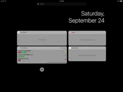 Is It Down? – Uptime Checker Widget iPad image 1