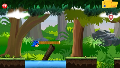 BIRD SONYC RUN ADVENTURE WORLD 1.0 IOS