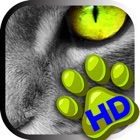 Top 50 Lifestyle Apps Like Animal Wallpapers – Free Pics and Background.s - Best Alternatives