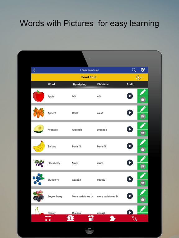 Screenshot #5 pour Learn Romanian SMART Guide