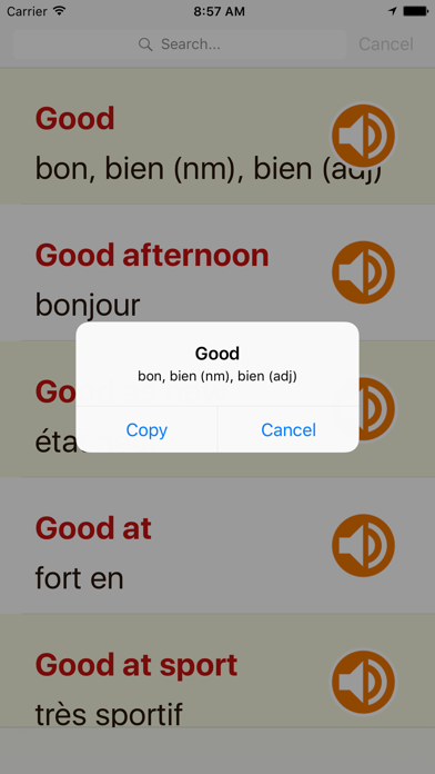 Screenshot #1 pour English French Dictionary Offline For Ipad