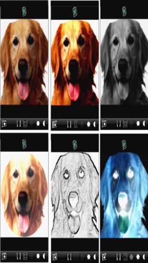 Tap Photo Mask HD(圖4)-速報App