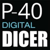 P-40 Digital Dicer