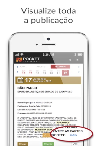 Pocket Jurídico screenshot 3