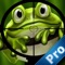 Angry Frog Pro: Shoot Fast and collect flies