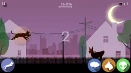 black cat run iphone resimleri 3