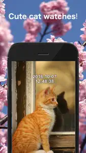 CatPhotoClock screenshot #1 for iPhone