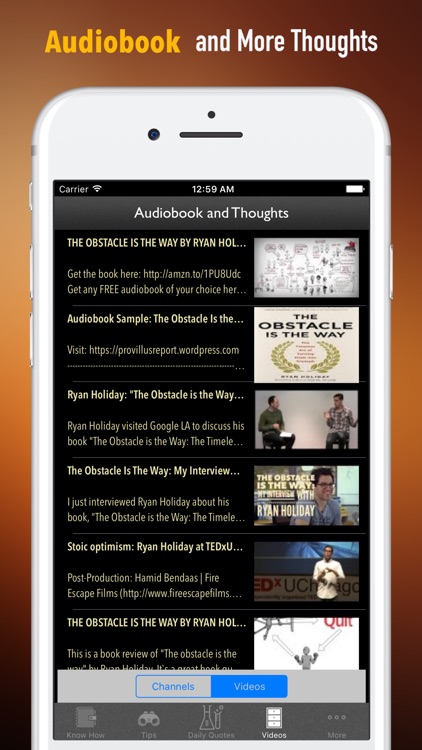 Quick Wisdom from The Obstacle Is the Way