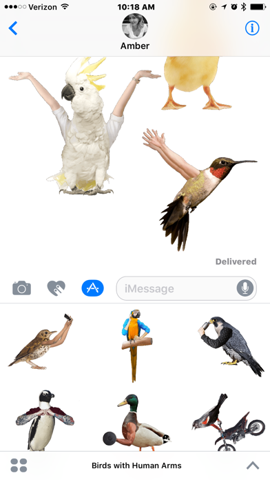 Birds with Human Arms screenshot