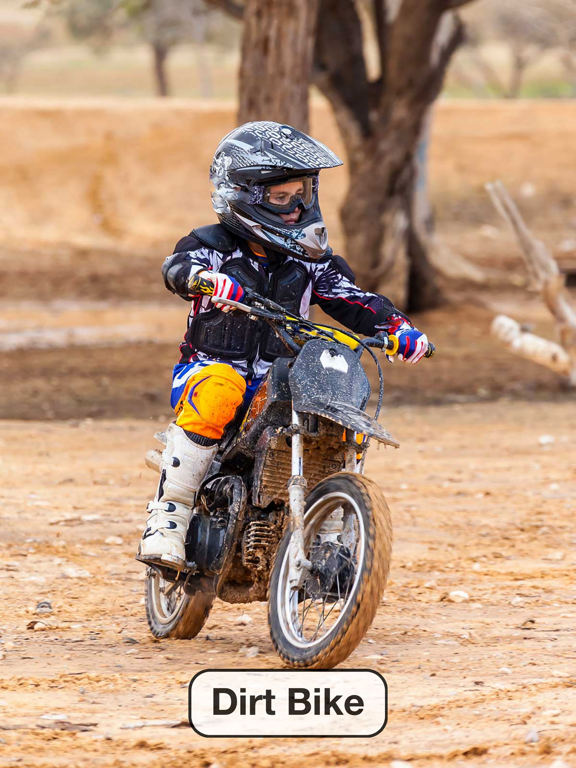 Baby Flash Cards Games & Kids Animal Sounds Free iPad screenshot 4 - Education app