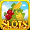 Fun Farmer Slots - Casino with Big Bonus