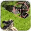 3D Crow Hunting : Ultimate Wild-Animals Adventure