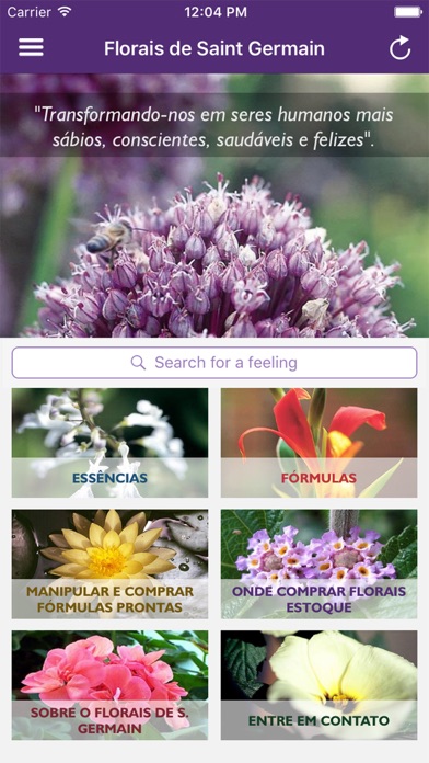 Screenshot #1 pour Florais de Saint Germain