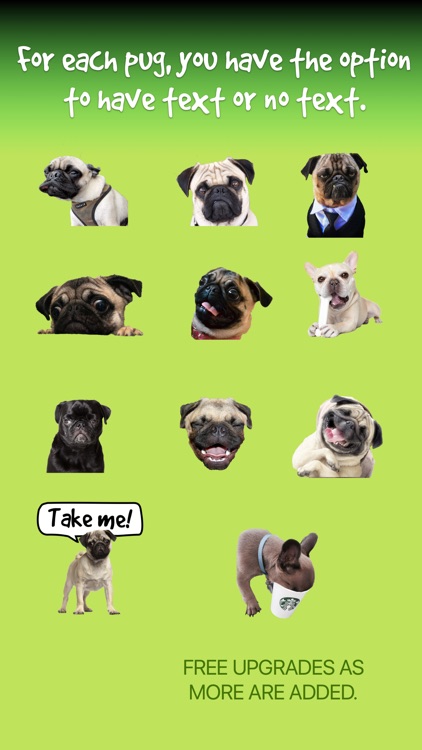Pug Talk screenshot-3