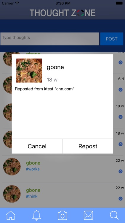 The Zones screenshot-4